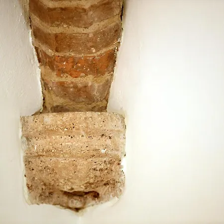 Little Italy Ex Chiesa S Donato 호스텔