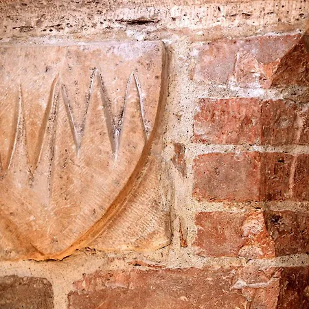 Little Italy Ex Chiesa S Donato *