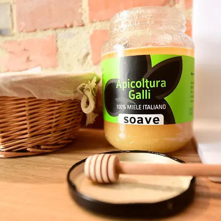 Little Italy Ex Chiesa S Donato *